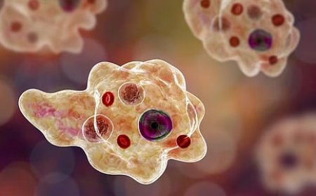 *കോഴിക്കോട് അമീബ് മസ്തിഷ്‌കജ്വരം ബാധിച്ച് മരണം സ്ത്രീ മരിച്ചു* 