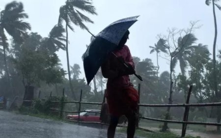 ചാലക്കുടിയിൽ ശക്തമായ കാറ്റ്. തെങ്ങ് ഒടിഞ്ഞുവീണ് സൈക്കിളിൽ കളിക്കുകയായിരുന്ന രണ്ട് വിദ്യാർത്ഥിനികൾക്ക് പരിക്കേറ്റു