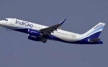 ഡെറാഡൂൺ വിമാനത്താവളത്തിൽ 186 യാത്രക്കാരുമായി പോയ ഇൻഡിഗോ വിമാനത്തിൽ പക്ഷി ഇടിച്ചു