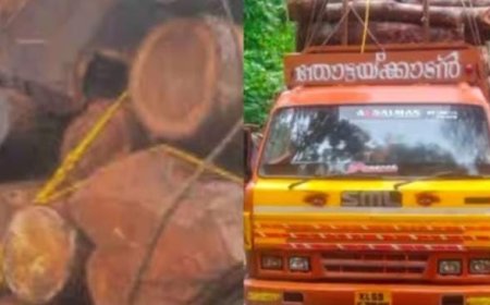 പ്ലാവിനൊപ്പം കടത്തിയത് ലക്ഷങ്ങളുടെ തേക്ക്, തട്ടിപ്പ് പാളിയത് വനംവകുപ്പ് പരിശോധനയിൽ