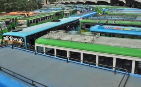 ആനിത്തോട്ടത്ത് സ്വകാര്യബസ് അശ്രദ്ധമായി മുന്നോട്ടെടുത്തിതിനെ തുടർന്നു യാത്രക്കാരി പുറത്തേക്കു തെറിച്ചു വീണുണ്ടായ അപകടം. നിയമലംഘനങ്ങൾ നിരീക്ഷിക്കാൻ ജില്ലാ തല സമിതി വേണമെന്ന മനുഷ്യാവകാശ കമ്മീഷൻ. ട്രാൻസ്പോർട്ട് കമ്മീഷണർ രണ്ടു മാസത്തിനകം ഉത്തരവ് നടപ്പിലാക്കി നടപടി റിപ്പോർട്ട് സമർപ്പിക്കണമെന്നും കമ്മീഷൻ