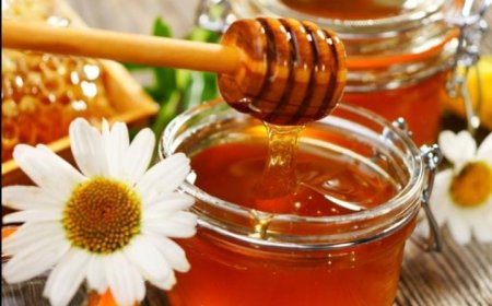 ശരീരത്തിലെ കൊഴുപ്പ് എരിച്ചുകളയാൻ തേൻ