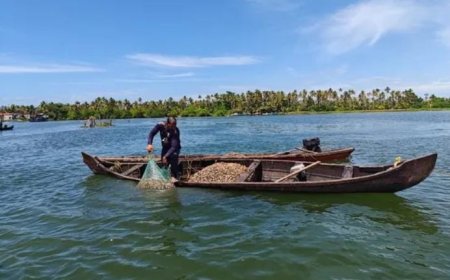 അഷ്ടമുടി കക്ക: സിഎംഎഫ്ആർഐയുടെ പുനരുജ്ജീവന ശ്രമങ്ങൾ ഫലം കാണുന്നു