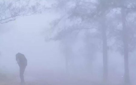 തിരുവനന്തപുരത്ത് അസാധാരണ തണുപ്പ്.  ഏറ്റവും കുറഞ്ഞ താപനില കൊല്ലം പുനലൂരിൽ