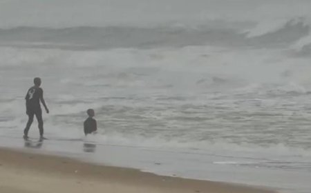 ദിത്വാ ചുഴലിക്കാറ്റ്: തമിഴ്‌നാട്ടിൽ മഴയുമായി ബന്ധപ്പെട്ട അപകടങ്ങളിൽ മൂന്ന് പേർ മരിച്ചു; 57,000 ഹെക്ടർ കൃഷിഭൂമി നശിച്ചു