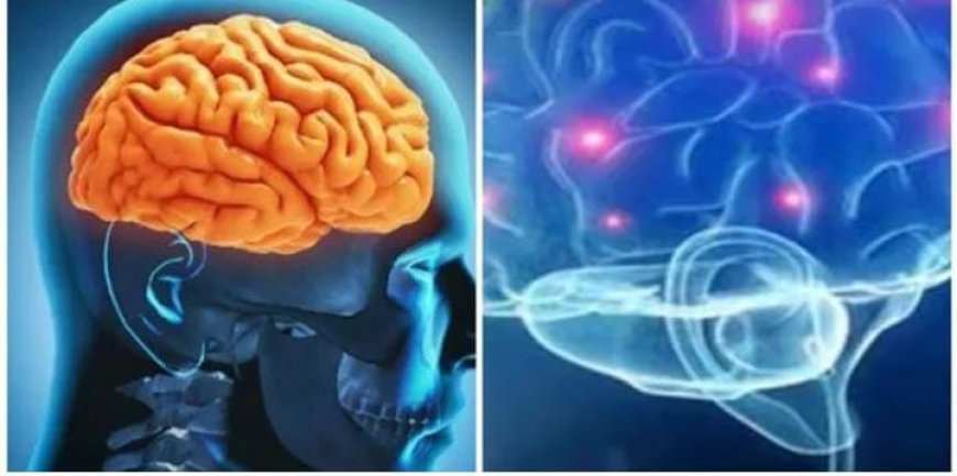 സംസ്ഥാനത്ത് വീണ്ടും അമീബിക് മസ്തിഷ്ക ജ്വര മരണം: മരിച്ചത് ആറ്റിങ്ങൽ സ്വദേശി