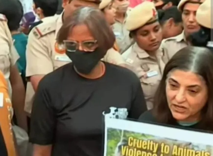 നോ ഡോഗ്, നോ വോട്ട് ; തെരുവുനായകളെ പിടികൂടണമെന്ന സുപ്രിംകോടതി വിധിക്കെതിരെയാണ് പ്രതിഷേധം. ഇന്ത്യാഗേറ്റിനു മുന്നിൽ മൃഗസ്നേഹികളുടെ പ്രതിഷേധം