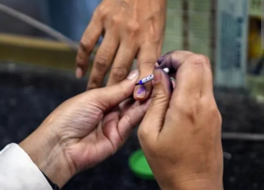 തദ്ദേശ തെരഞ്ഞെടുപ്പിനായി ഇടുക്കി ജില്ല സജ്ജം