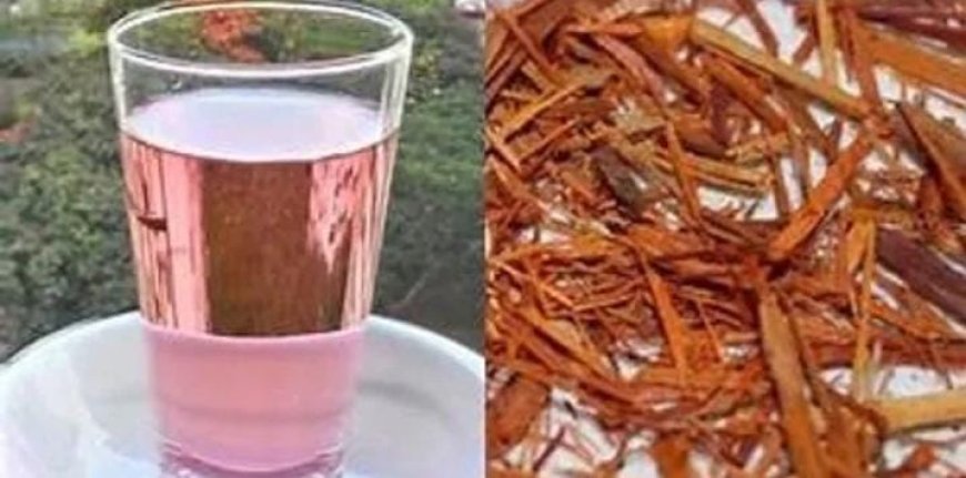 ത്വക്ക് രോഗങ്ങൾക്ക് കരിങ്ങാലി