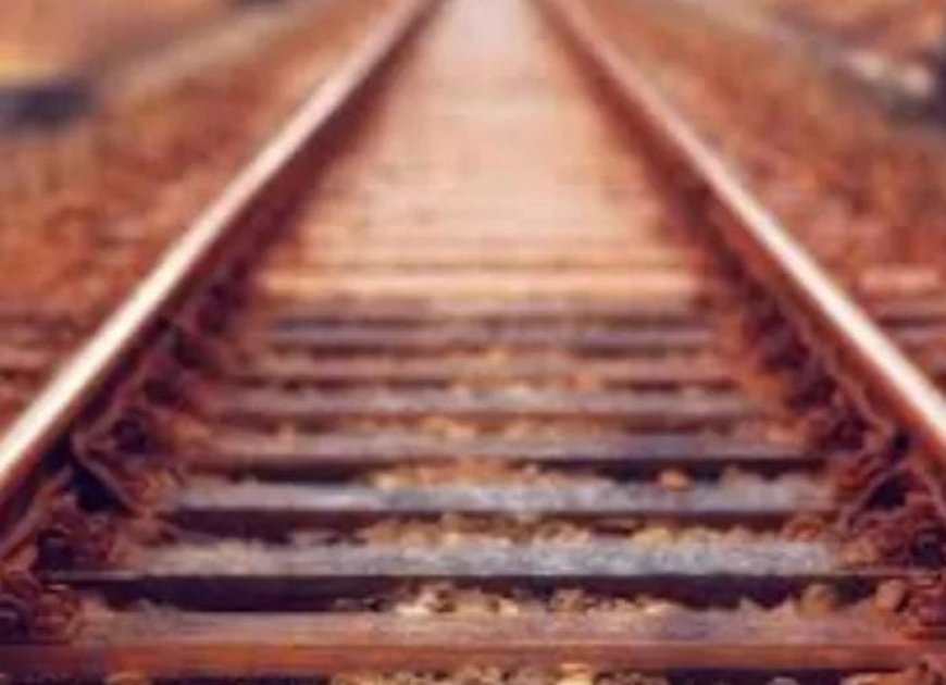 ആലപ്പുഴ റെയിൽവേ സ്റ്റേഷന്റെ ട്രാക്കിൽ മനുഷ്യന്റെ കാൽപ്പാദം കണ്ടെത്തി. ശരീര ഭാ ഗത്തിന് മൂന്ന് ദിവസത്തെ പഴക്കം. കാലിന്റെ ഭാഗം കണ്ടെത്തിയത് ശുചീകരണ തൊഴിലാളികൾ