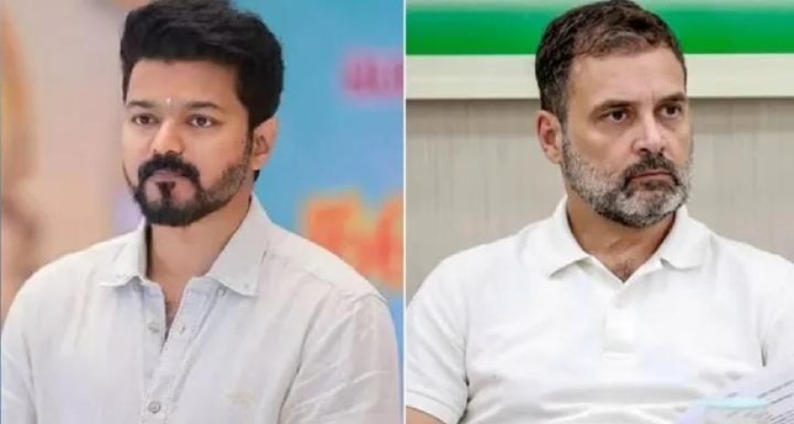 വിജയ് കോൺഗ്രസിന് പുതിയ ആളല്ല.  പാർട്ടിയിൽ ചേരാനുള്ള  സാധ്യതയെക്കുറിച്ച് ചർച്ച ചെയ്യാൻ 2010 ൽ രാഹുൽ ഗാന്ധിയെ കണ്ടിരുന്നു.  എന്നാൽ ആ സമയത്ത് അത് യാഥാർത്ഥ്യമായില്ല.  വിജയയുടെ  ടിവികെയുമായുള്ള ചർച്ച നിഷേധിച്ച് കോൺഗ്രസ്