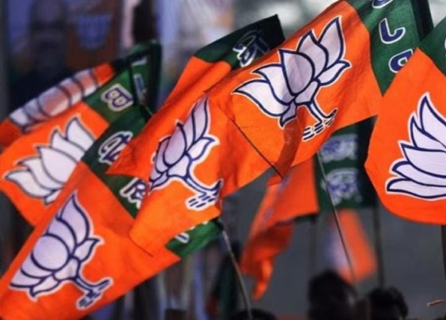 ദേവസ്വം മന്ത്രി എവിടെ ?  ശബരിമലയിൽ നടക്കുന്നത് കടുത്ത മനുഷ്യാവകാശ ലംഘനം: ബിജെപി