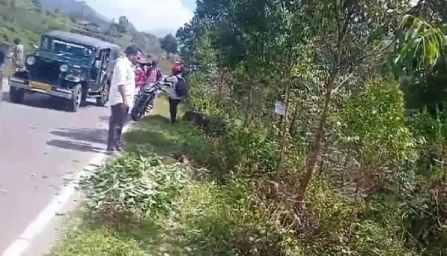 മൂന്നാറിൽ നിയന്ത്രണംവിട്ട ജീപ്പ് താഴ്ചയിലേക്ക് മറിഞ്ഞ് അപകടം. സ്കൂൾ കുട്ടികൾക്ക് പരിക്ക്, ഒരാളുടെ നില ഗുരുതരം