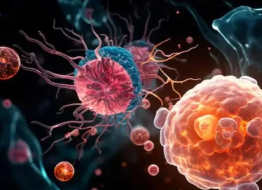 വീണ്ടും അമീബിക് മസ്തിഷ്ക ജ്വര മരണം. തിരുവനന്തപുരത്ത് യുവതി മരിച്ചു. ഈ വർഷം ഇതുവരെ 170 പേർക്കാണ് രോഗം ബാധിച്ചു