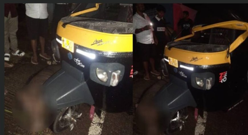 കല്ലറയിൽ കാട്ടുപന്നി കുറുകെ ചാടി; ഓട്ടോറിക്ഷ മറിഞ്ഞ് പരിക്കേറ്റു ചികിത്സയിലായിരുന്ന ഡ്രൈവർ മരിച്ചു.