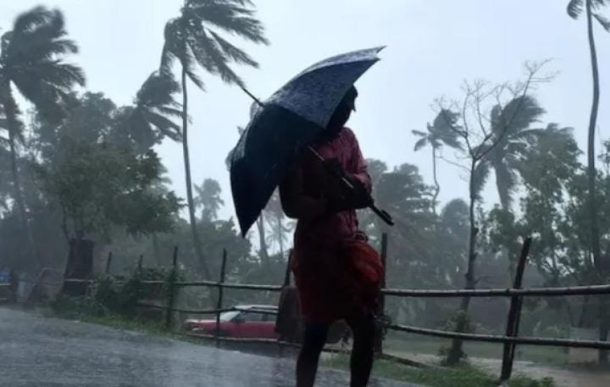 ചാലക്കുടിയിൽ ശക്തമായ കാറ്റ്. തെങ്ങ് ഒടിഞ്ഞുവീണ് സൈക്കിളിൽ കളിക്കുകയായിരുന്ന രണ്ട് വിദ്യാർത്ഥിനികൾക്ക് പരിക്കേറ്റു