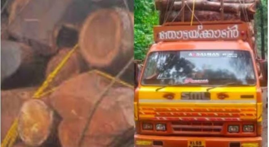 പ്ലാവിനൊപ്പം കടത്തിയത് ലക്ഷങ്ങളുടെ തേക്ക്, തട്ടിപ്പ് പാളിയത് വനംവകുപ്പ് പരിശോധനയിൽ