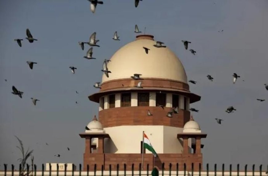 കേരളം, തമിഴ്നാട്, പശ്ചിമ ബംഗാൾ എന്നിവിടങ്ങളിലെ തിരഞ്ഞെടുപ്പ് കമ്മീഷന്റെ പ്രത്യേക തീവ്ര പരിഷ്കരണ വോട്ടർ പട്ടികയെ ചോദ്യം ചെയ്യുന്ന ഹർജികളിൽ സുപ്രീം കോടതി വാദം കേൾക്കും. കേരളത്തിലെ കേസുകൾ ഡിസംബർ 2 നും തമിഴ്‌നാടിന്റെ ഹർജി ഡിസംബർ 4 നും പശ്ചിമ ബംഗാളിലെ കേസുകൾ ഡിസംബർ 9 നും പരിഗണിക്കും