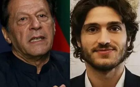 ജീവനോടെയുണ്ടോ ഇമ്രാ ൻ ഖാൻ'; തെളിവു വേണ മെന്ന് മകൻ, ജയിലിനുമു ൻപിൽ തുടർന്ന് സഹോദ രിമാർ, അന്താരാഷ്ട്ര സ ഹായം അഭ്യർഥിച്ച് കുടും ബാംഗങ്ങൾ