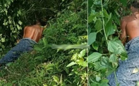 പൂഞ്ഞാറിൽ ഗൃഹനാഥനെ വീടിനു സമീപത്തെ പുരയി ടത്തിൽ വെടിയേറ്റ് മരിച്ച നിലയിൽ കണ്ടെത്തി. ഇ യാൾ സ്വയം വെടിവച്ച് മരി ച്ചതാണെന്ന് പോലീസ്