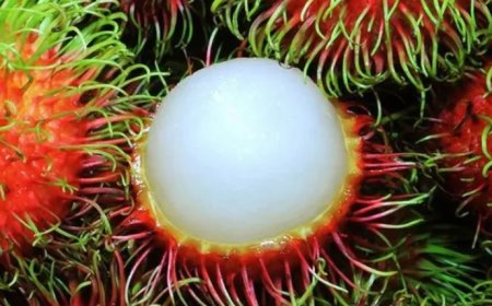 പുരുഷന്മാർക്ക് റംബൂട്ടാൻ