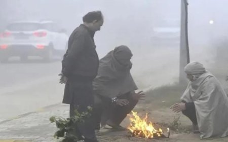 ഉത്തർപ്രദേശ്, പഞ്ചാബ്, ഹരിയാന എന്നിവിടങ്ങളിൽ ശീതക്കാറ്റ്; 11 സംസ്ഥാനങ്ങളിൽ കനത്ത മൂടൽമഞ്ഞിന് സാധ്യതയെന്ന് കാലാവസ്ഥാ നിരീക്ഷണ കേന്ദ്രം