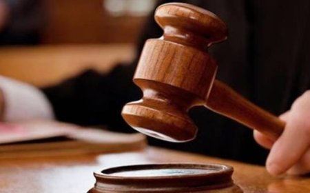 എലപ്പുള്ളി ബ്രൂവറി: ഹൈക്കോടതി ഉത്തരവിനായി മാറ്റി.