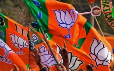 വയനാട്ടിൽ അക്കൗണ്ട് തുറന്ന് ബിജെപി, തിരുനെല്ലിയിലും പുളിയാർമലയിലും ബിജെപിക്ക് നേട്ടം