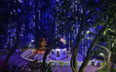 93 മത് ശിവഗിരി മഹാതീര്‍ത്ഥാടനത്തെ വരവേറ്റുകൊണ്ട് ശിവഗിരി ശ്രീശാരദാമഠത്തിൽ ഒരുക്കിയ വൈദുതി വർണ വിസ്മയം