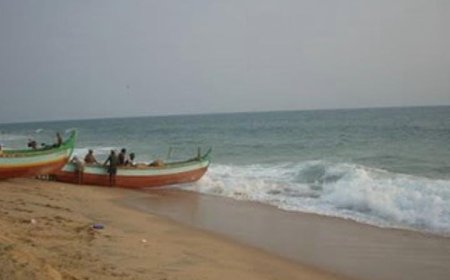 അഞ്ച് തെങ്ങ് - കടയ്ക്കാവൂർ തീര മേഖല ഉൾപ്പെടെ ഗ്രാമീണ മേഖലയിൽ എം ഡി എം ഉൾപ്പെടെയുള്ള ലഹരിവസ്തുക്കളുടെ വില്പന സജീവം. പുതുവർഷം ക്രിസ്മസ് പ്രമാണിച്ചാണ് അനധികൃത മദ്യo ഉൾപ്പെടെയുള്ള ലഹരിവസ്തുക്കൾ വിൽപ്പനയ്ക്കായി എത്തിച്ചിട്ടുള്ളത്.