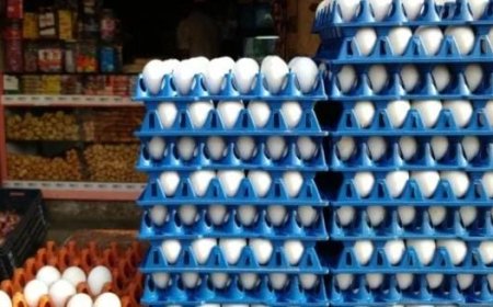 സംസ്ഥാനത്ത് കോളിളക്കം സൃഷ്ടിച്ച് മുട്ട കഴിച്ചാൽ അർബുദ മുണ്ടാകുന്നെന്ന വാർത്ത; പലരും മുട്ട ഉപയോഗം നിർത്തി