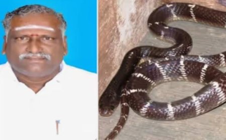 ഉത്ര കൊലക്കേസിന് സമാനം, മക്കൾ അച്ഛനെ പാമ്പിനെ കൊണ്ട് കടിപ്പിച്ച് കൊന്നു, കൃത്യം ഇൻഷുറൻസ് തുക തട്ടിയെടുക്കാൻ