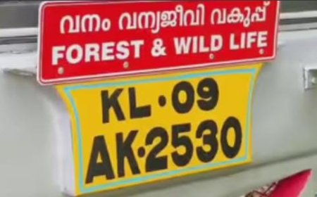 ഡിസംബര്‍ മുതല്‍ ഫെബ്രുവരി വരെ സൂക്ഷിക്കണം! അതീവ ജാഗ്രതാ നിർദേശവുമായി വനംവകുപ്പ്, വരുന്നത് കടുവകളുടെ പ്രജനന കാലം