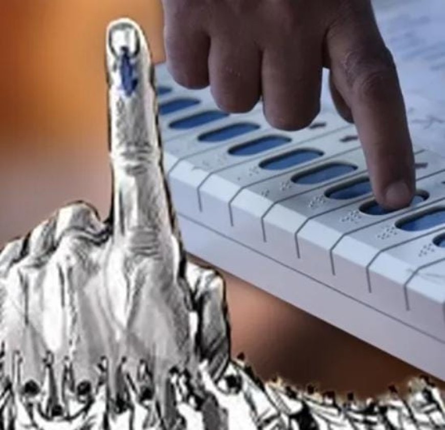 പാലാ നഗരസഭയിൽ കേരളാ കോൺഗ്രസ്(എം) മുന്നേറ്റം. ഫലം വന്ന മൂന്നു വാർഡുകളിൽ വിജയിച്ചിരിക്കുന്നത് മുൻ ചെയർപേഴ്‌സൺമാർ. ഒന്ന് രണ്ട് വാർഡുകളിൽ മുൻ ചെയർമാൻ ഷാജു തുരത്തനും മറ്റൊരു വാർഡിൽ ചെയർപേഴ്സൺ ബെറ്റി ഷാജുവും മൂന്നാം വാർഡിൽ മുൻ ചെയർപേഴ്സൺ ജോസിൻ ബിനോയിയും വിജയിച്ചു