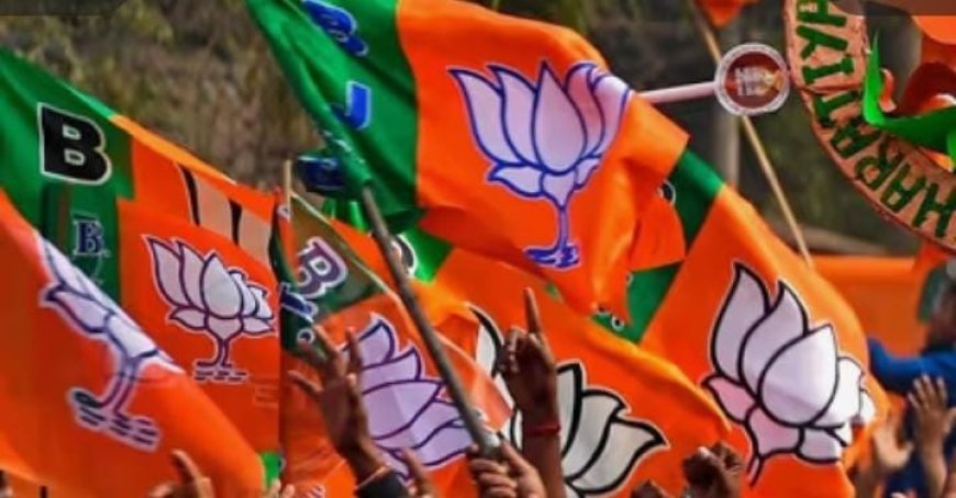 വയനാട്ടിൽ അക്കൗണ്ട് തുറന്ന് ബിജെപി, തിരുനെല്ലിയിലും പുളിയാർമലയിലും ബിജെപിക്ക് നേട്ടം