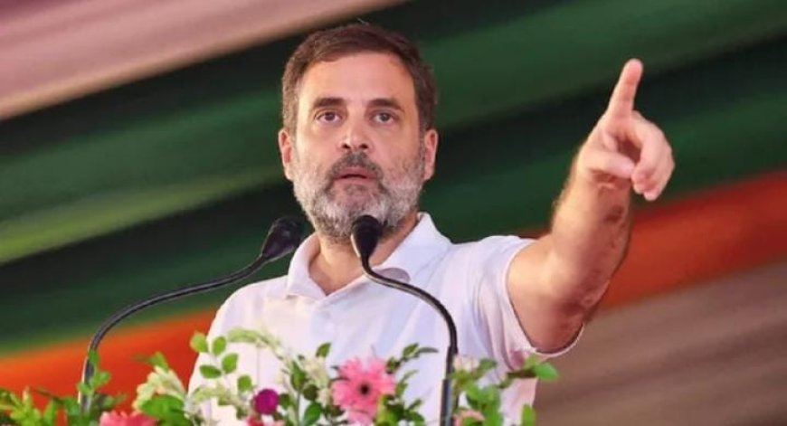 യുഡിഎഫിൽ വിശ്വാസം അർപ്പിച്ചതിന് കേരളത്തിലെ ജനങ്ങൾക്ക് സല്യൂട്ട്. വരാനിരിക്കുന്ന നിയമസഭാ തെരഞ്ഞെടുപ്പ് തൂത്തുവാരുമെന്നതിന്റെ സൂചനയാണ് ഇത്.  യുഡിഎഫ് വിജയത്തിൽ നന്ദി പറഞ്ഞ് കോൺഗ്രസ് നേതാവ് രാഹുൽ ഗാന്ധി