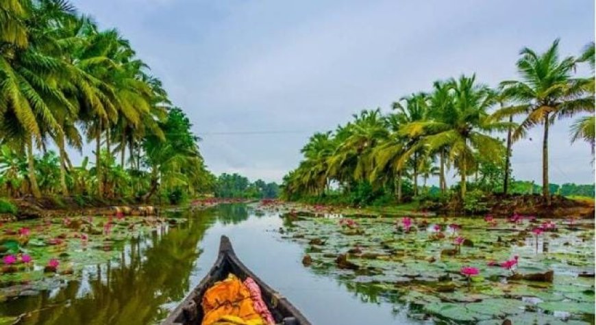 ട്രാവല്‍ പ്ലസ് ലെയ്ഷര്‍ ഇന്ത്യ 2025: ബെസ്റ്റ് അവാര്‍ഡ് പട്ടികയില്‍ ഇടം നേടി കേരളവും, മികച്ച വെല്‍നെസ് ഡെസ്റ്റിനേഷനായി തെരഞ്ഞെടുത്തു