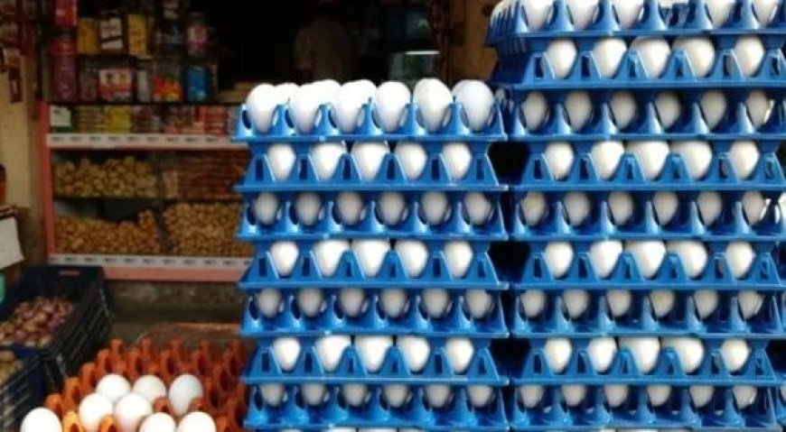 സംസ്ഥാനത്ത് കോളിളക്കം സൃഷ്ടിച്ച് മുട്ട കഴിച്ചാൽ അർബുദ മുണ്ടാകുന്നെന്ന വാർത്ത; പലരും മുട്ട ഉപയോഗം നിർത്തി