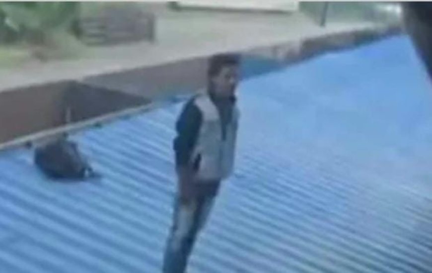 വൈദ്യുതലൈനിലേക്ക് ചാടും'; ആലുവ റെയില്‍വേ സ്റ്റേഷനില്‍ യുവാവിന്റെ ആത്മഹത്യാഭീഷണി; ട്രെയിന്‍ ഗതാഗതം തടസ്സപ്പെട്ടു