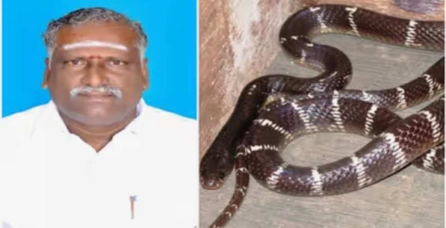 ഉത്ര കൊലക്കേസിന് സമാനം, മക്കൾ അച്ഛനെ പാമ്പിനെ കൊണ്ട് കടിപ്പിച്ച് കൊന്നു, കൃത്യം ഇൻഷുറൻസ് തുക തട്ടിയെടുക്കാൻ