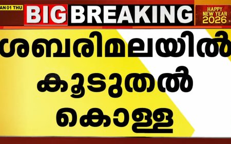 ശബരിമലയിൽ വൻകൊള്ള; പ്രഭാമണ്ഡലത്തിലെയും ശിവ, വ്യാളീ രൂപങ്ങളിലെയും സ്വർണം കവർന്നു