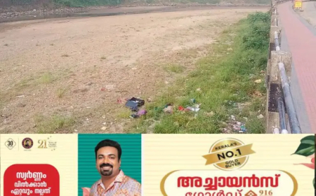 വേനൽ കടുക്കുന്നതിന് മുൻപേ മണിമലയാറ്റിൽ ജലനിരപ്പ് താഴ്ന്നു; മുണ്ടക്കയം മലയോര മേഖല കടുത്ത വരൾച്ചാ ഭീതിയിൽ