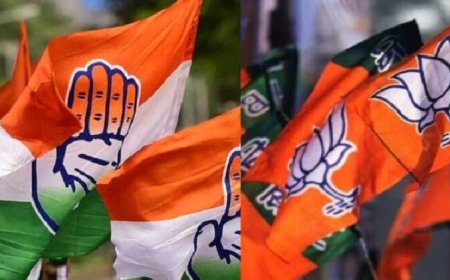 പുല്ലൂർ പെരിയയിൽ കോ- ലീ – ബി സഖ്യം സമ്പൂര്‍ണ്ണം: സ്ഥിരംസമിതിയില്‍ UDF-BJP സഖ്യത്തിന് മേല്‍ക്കൈ