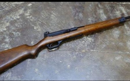 നായാട്ടിനിടെ അബദ്ധത്തിൽ തോക്ക് പൊട്ടി ഉഴവൂരിൽ അഭിഭാഷകൻ മരിച്ചു