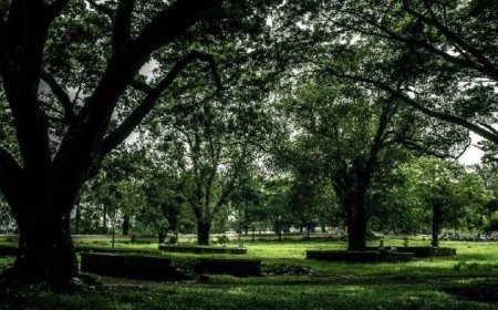 തൃശൂർ തേക്കിൻക്കാട് മൈതാനം കലോത്സവ വേദിയാക്കിയതിനെതിരെ സമര്‍പ്പിച്ച ഹര്‍ജി ഹൈക്കോടതി തള്ളി. പതിനായിരം രൂപ പിഴചുമത്തിയാണ് ഹര്‍ജി തള്ളിയത്. ഹർജിക്കാരനായ തൃശ്ശൂർ സ്വദേശി നാരായണൻ കുട്ടിക്കാണ് ദേവസ്വം ബെഞ്ച് 10,000 രൂപ പിഴയിട്ടത്.