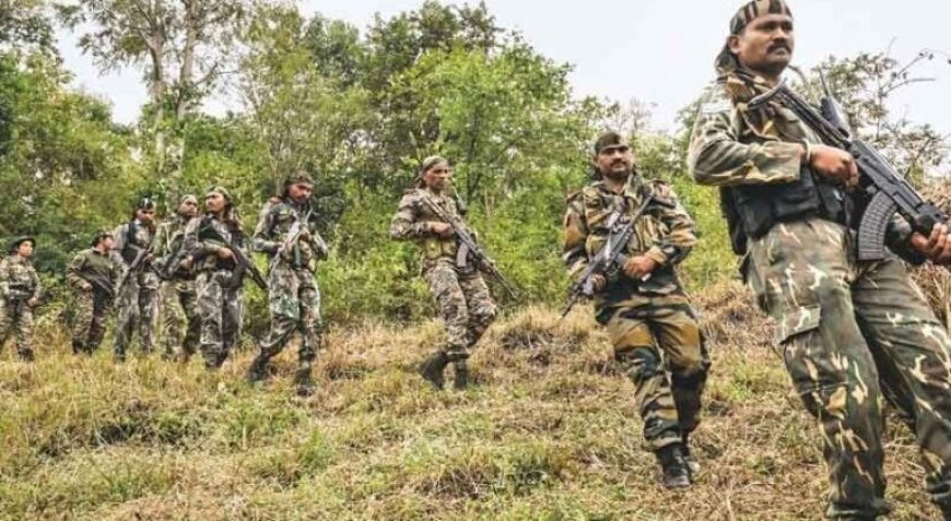 ചത്തീസ്ഗഡിൽ ഏറ്റുമുട്ടൽ; 14 ഓളം വരുന്ന മാവോയിസ്റ്റുകളെ സുരക്ഷാ സേന വധിച്ചു