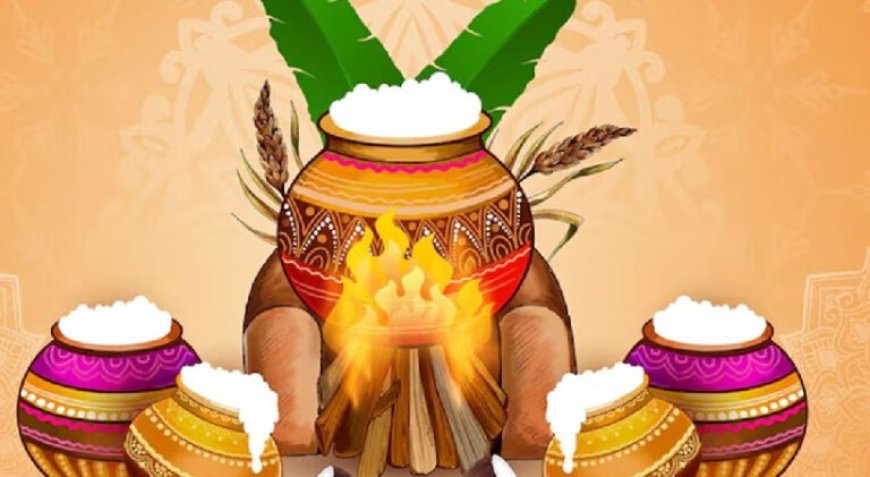 പൊങ്കൽ ആഘോഷങ്ങൾക്ക് കൂടുതല്‍ ഭംഗി: സംസ്ഥാനത്ത് ആറ് ജില്ലകളിൽ വ്യാ‍ഴാ‍ഴ്ച പ്രാദേശിക അവധി