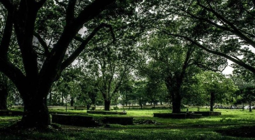 തൃശൂർ തേക്കിൻക്കാട് മൈതാനം കലോത്സവ വേദിയാക്കിയതിനെതിരെ സമര്‍പ്പിച്ച ഹര്‍ജി ഹൈക്കോടതി തള്ളി. പതിനായിരം രൂപ പിഴചുമത്തിയാണ് ഹര്‍ജി തള്ളിയത്. ഹർജിക്കാരനായ തൃശ്ശൂർ സ്വദേശി നാരായണൻ കുട്ടിക്കാണ് ദേവസ്വം ബെഞ്ച് 10,000 രൂപ പിഴയിട്ടത്.