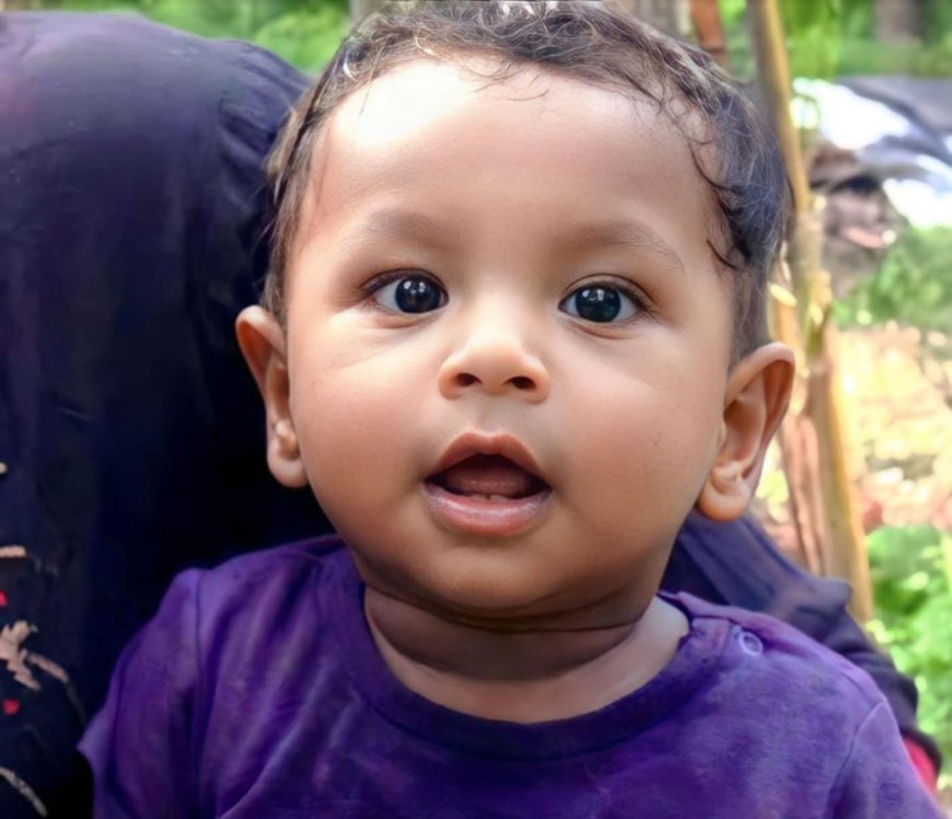 നെയ്യാറ്റിൻകരയിൽ ഒരു വയസുകാരൻ കുഴഞ്ഞുവീണു മരിച്ചു. ബിസ്കറ്റും മുന്തിരിയും കഴിച്ചതിനു പിന്നാലെയെന്ന് ബന്ധുക്കൾ. സംഭവത്തിൽ കുട്ടിയുടെ പിതാവ് പോലീസ് കസ്റ്റഡിയിൽ