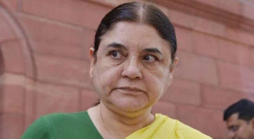 തെരുവ് നായ നിയന്ത്രണവുമായി ബന്ധപ്പെട്ട കേസ് പരിഗണിക്കുന്നതിനിടെ മനേക ഗാന്ധിക്കെതിരെ സുപ്രീം കോടതി രൂക്ഷമായ വിമർശനം ഉന്നയിച്ചു. എന്തൊക്കെ കാര്യങ്ങളാണ് അവർ പറയുന്നതെന്ന് കോടതി ചോദിച്ചു. മേനക ഗാന്ധി കോടതിയലക്ഷ്യം നടത്തുകയാണെന്ന് കോടതി നിരീക്ഷിച്ചു.